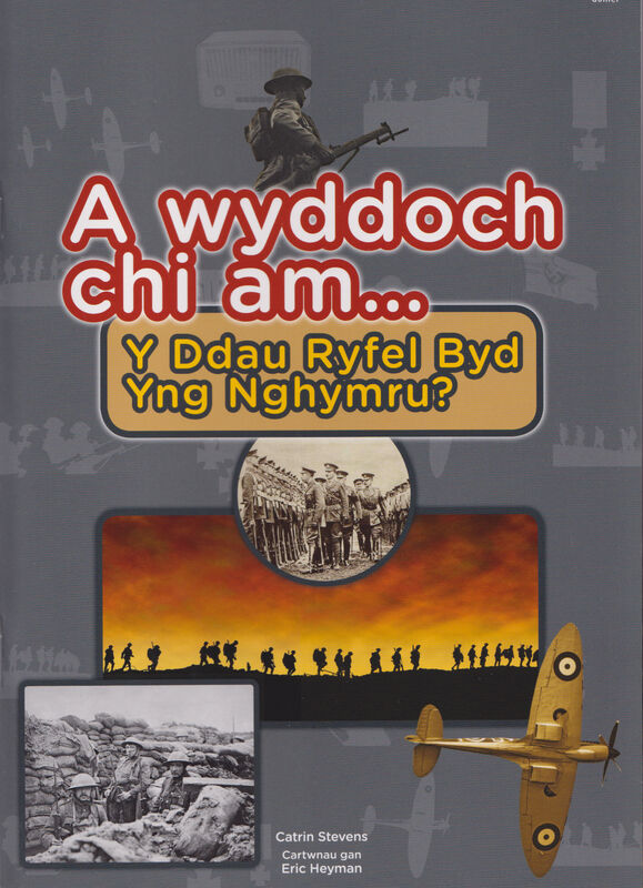 Llun o 'Cyfres a Wyddoch chi: A Wyddoch Chi am y Ddau Ryfel Byd yng Nghymru?' 
                      gan Catrin Stevens